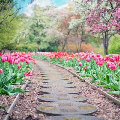 Kostka polbruk w architekturze krajobrazu Inspirujące pomysły na aranżacje